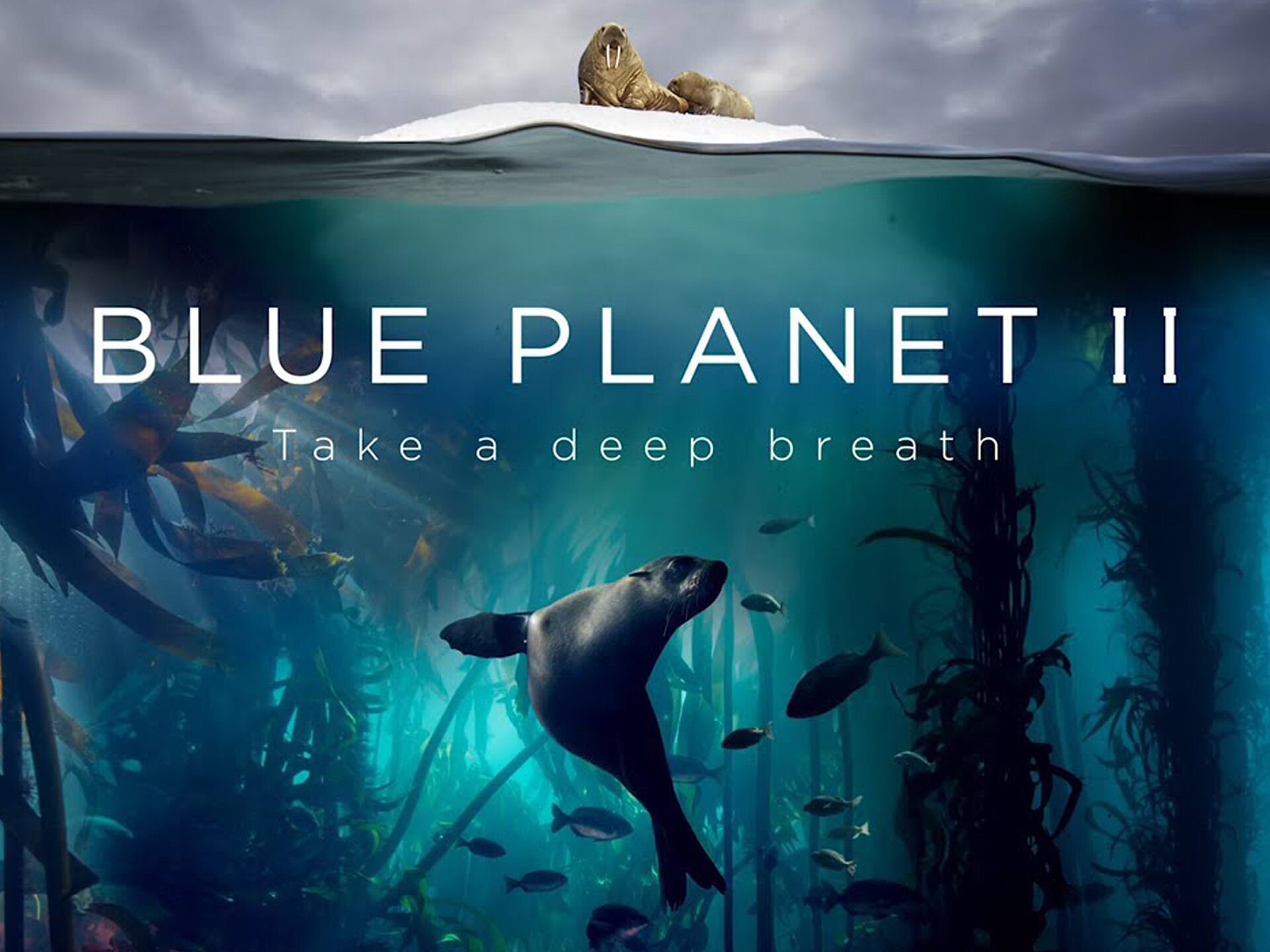 the blue planet